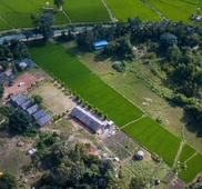 Waterfall Guesthouse