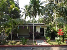 Coconut Fly Holidays