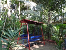 Coconut Fly Holidays