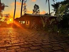 Happy Day's Diveagar