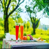 GREEN REED RESORT BY MEENAKSHI