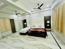 Collection O Gold Inn