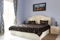 Cossimbazar Palace of the Roys