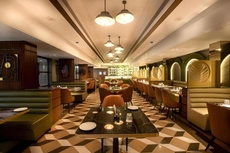 Freesia by Express Inn