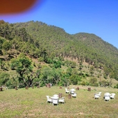 Hill Springs Resort And Cafe