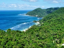 Tuburan Cove Beach Resort 