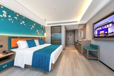 Heyuan Bashu International Meihao Lizhi