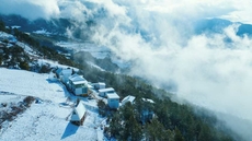 Shangri-La ManXinYu Frozen Dream Forest