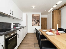 Apartment in ski Area Kitzski Hollersbach