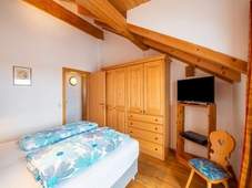 Penthouse Apartment in Wagrain Near ski Area