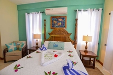 Blue Parrot Beach House