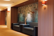 Les Boreales - Appart’hotel & Restaurant