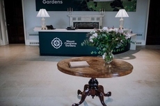 The Forest at Mount Congreve Gardens