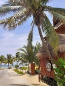 Cabanas Palmeras de Mahahual