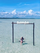 Bubblefish water villa