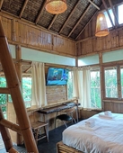 Bamboo Conservation Farm