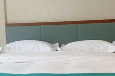 Asbestos Jiayi Hotel