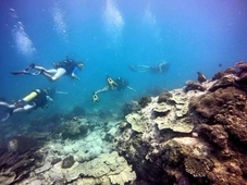 Rimba Resort - Dive Centre and Spa