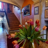 Hotel Particulier Payan-Champier