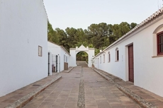 Cortijo del Arte