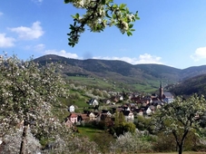 Maison D'hotes La Cerisaie