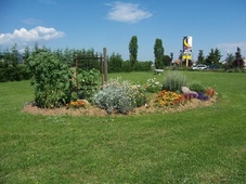 Artemis Hotel Restaurant