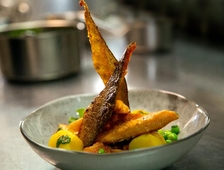 Logis Hotel Du Canard