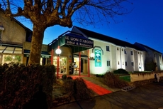 Logis Hotel du Lion d'Argent et des Tanneries