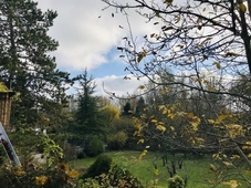 Chambres d'hotes Les Damiers