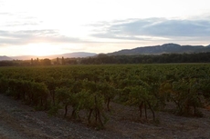 Chateau de Fonscolombe