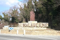 Domaine Des Tilleuls