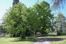 Cit'Hotel la Residence