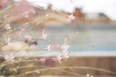 Urban Style Les Fleurines