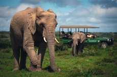 Shamwari Long Lee Manor