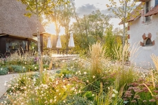 Le Bois Des Chambres