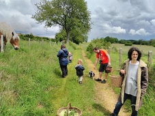 La Halte Du Pelerin Chambres D Ha Tes