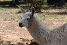 Les Salons Du Bastier