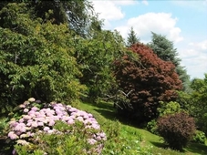 Chateau La Rametiere