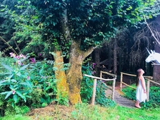 Auberge De La Cholotte