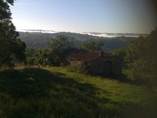 Les Jardins De La Contie