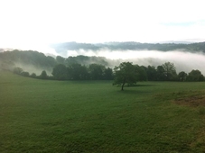 Les Jardins De La Contie
