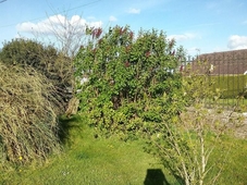 Chambre d'hotes Coquelicot