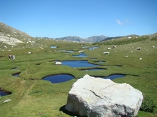 Le Gite du Chalet Pietri