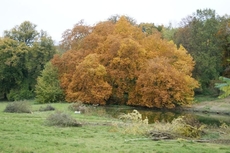 Chateau de la Bucherie