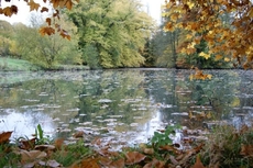 Chateau de la Bucherie