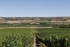 Abadia Retuerta Ledomaine