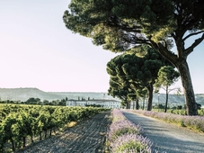 Abadia Retuerta Ledomaine