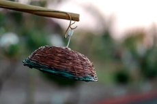 The Restfo Pench Tiger Resort