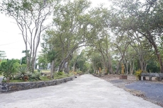 Wanghin Bungalow Donsak