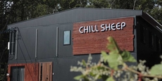 ChillSheep